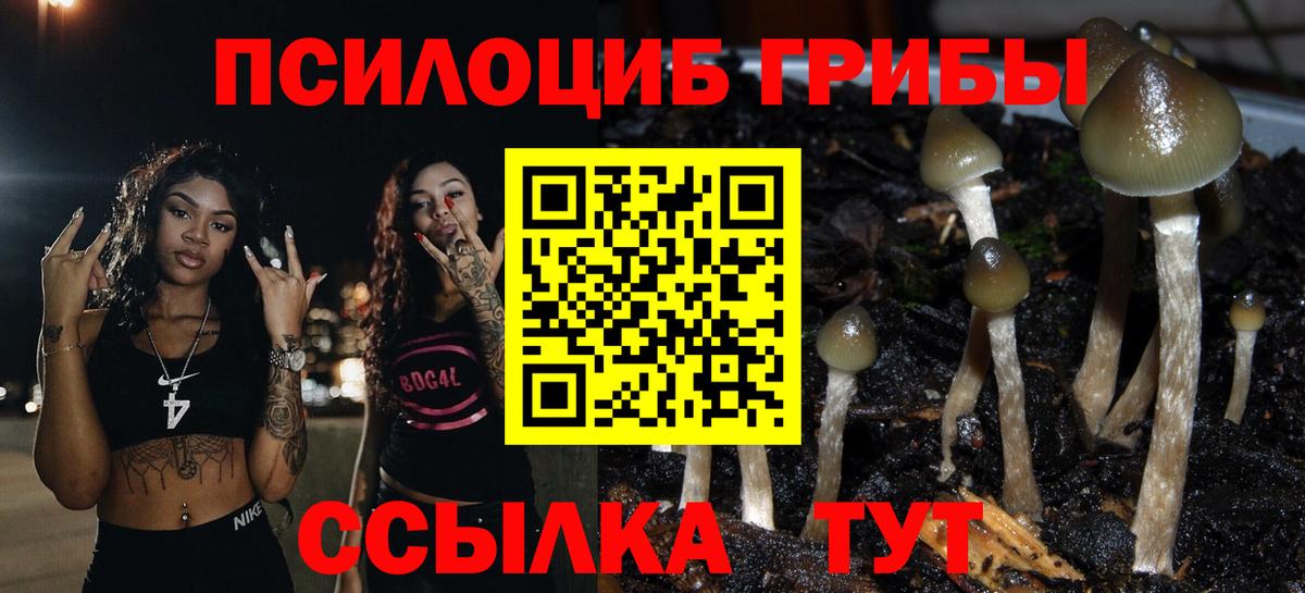 Галлюциногенные грибы GOLDEN TEACHER Брянск