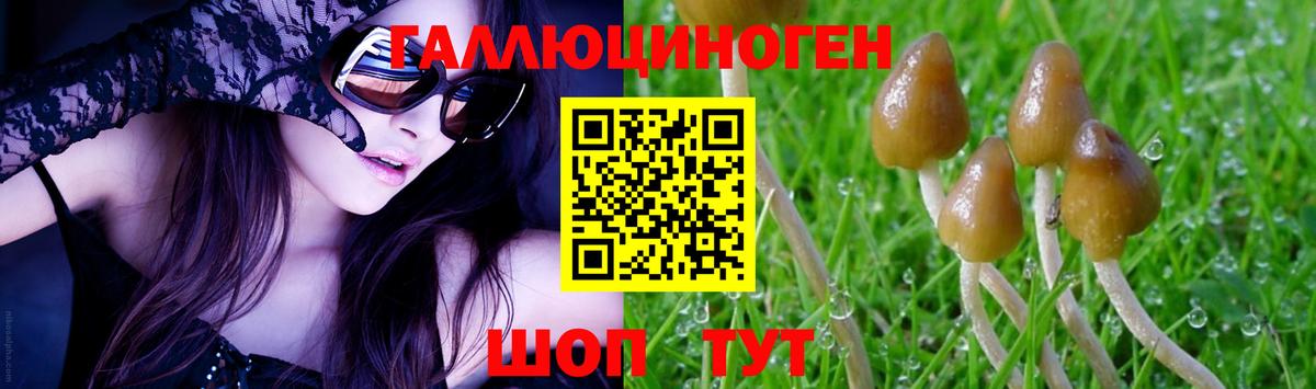 Брянск  Галлюциногенные грибы GOLDEN TEACHER  Галлюциногенные грибы GOLDEN TEACHER  Вход с VPN 